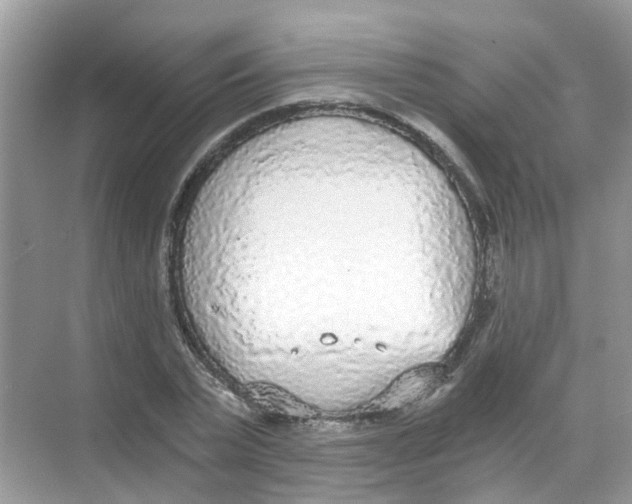 X0000068260783200605121819