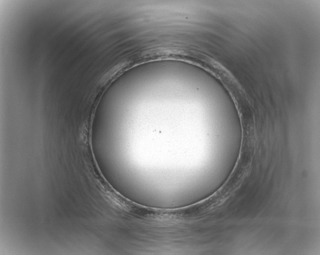 X0000068260785200605121819