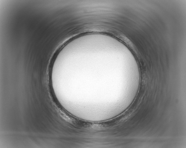 X0000068260787200605121819