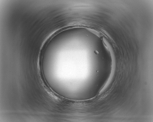 X0000068260788200605121819