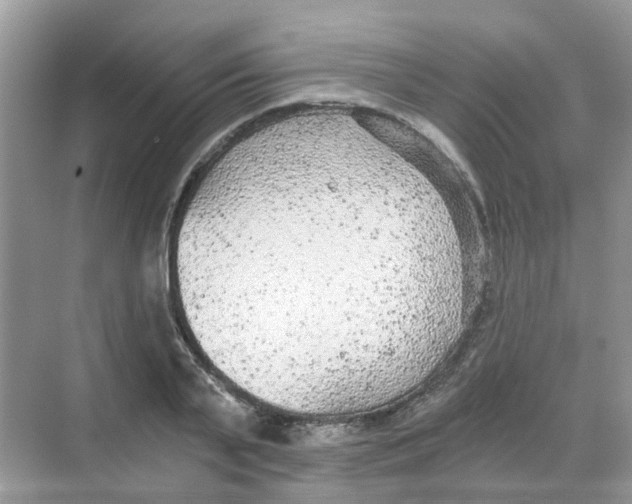 X0000068260791200605121819