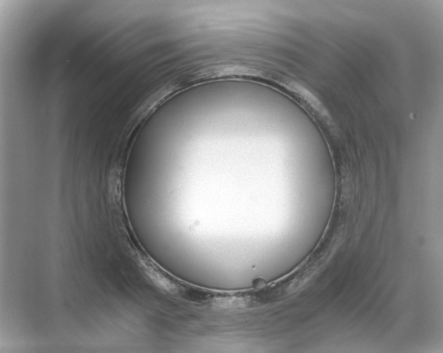 X0000068260793200605121819