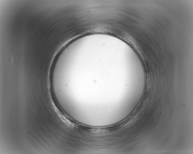 X0000068260795200605121819