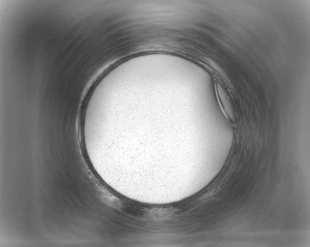 X0000068260796200605121819