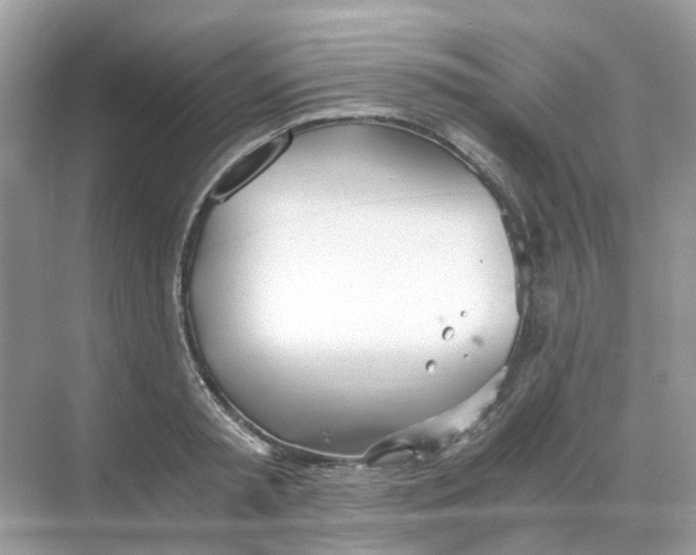 X0000068260797200605121819