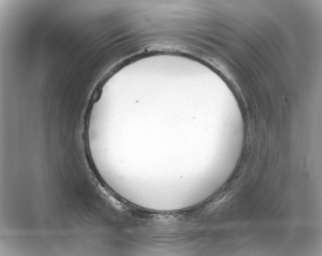 X0000068260799200605121819