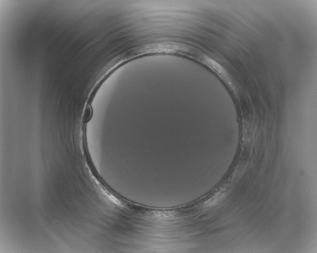 X0000068260802200605121819