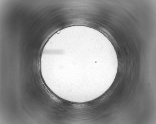 X0000068260804200605121819