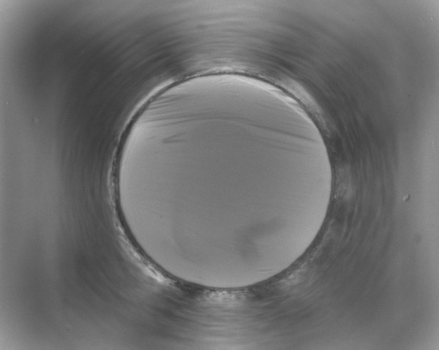 X0000068260806200605121818