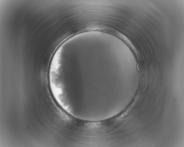 X0000068260810200605121818