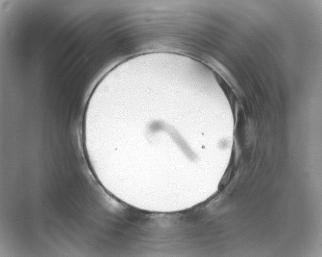 X0000068260812200605121818