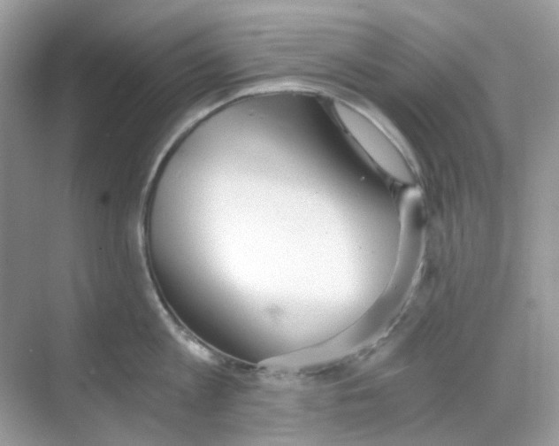 X0000068260813200605121818