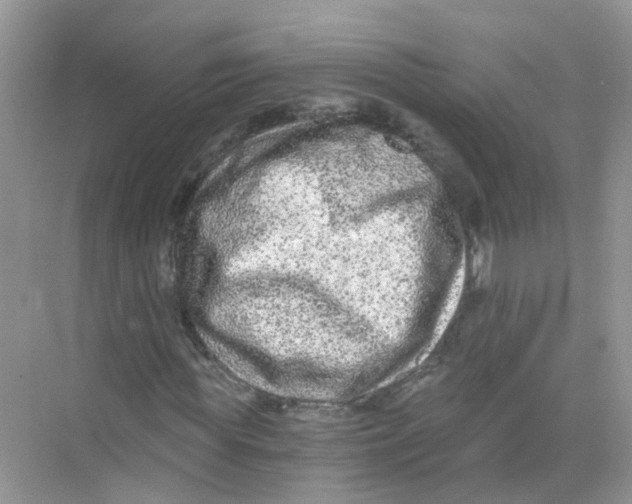 X0000068260819200605121818