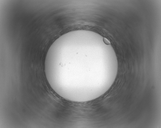 X0000068260820200605121818