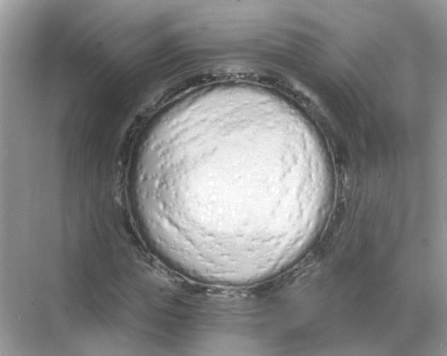 X0000068260823200605121818