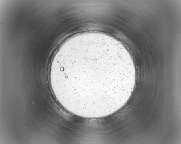 X0000068260828200605121818