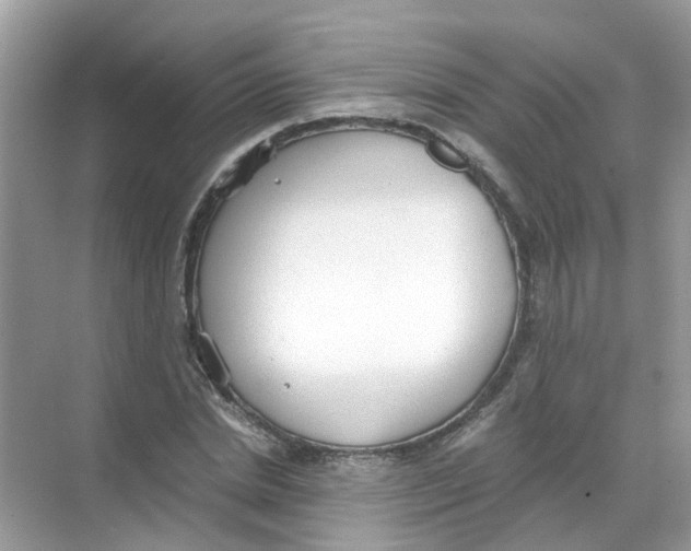 X0000068260830200605121818