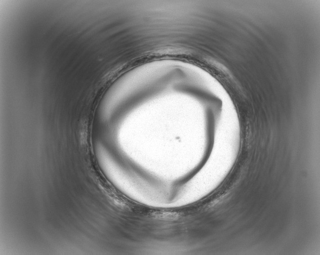 X0000068260833200605121818