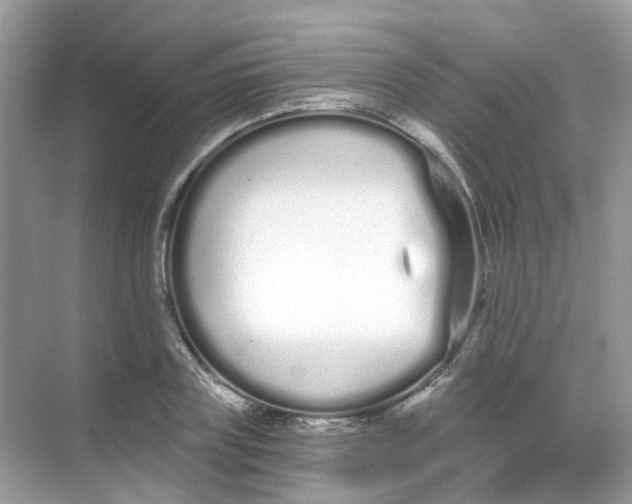 X0000068260835200605121818