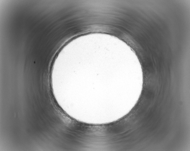 X0000068260836200605121818