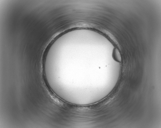 X0000068260837200605121818