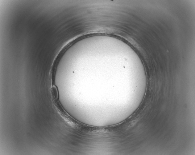 X0000068260838200605121818