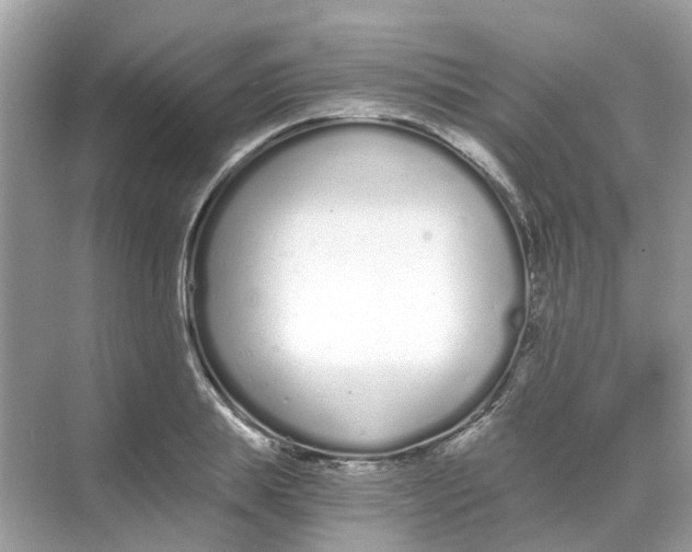 X0000068260839200605121818