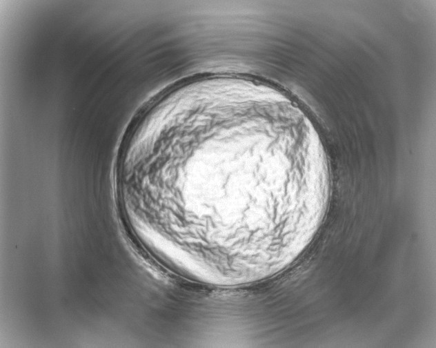 X0000068260840200605121818