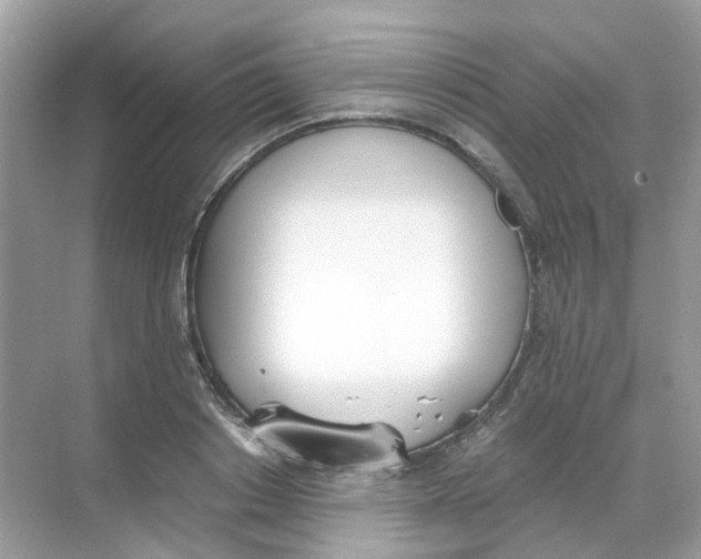 X0000068260842200605121818