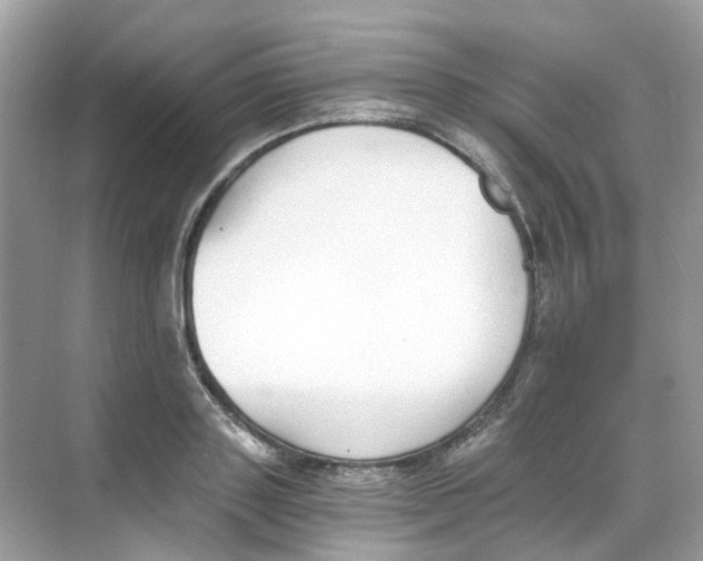 X0000068260843200605121818