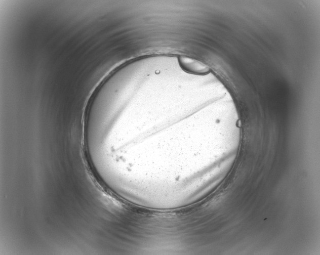 X0000068260844200605121818