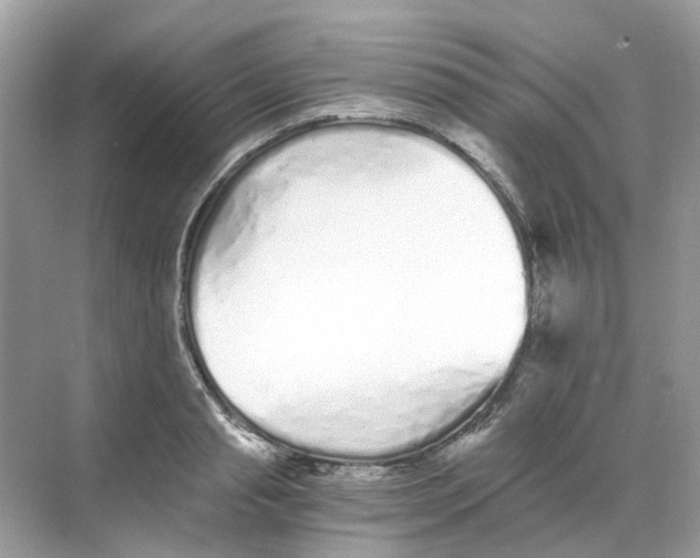 X0000068260845200605121818