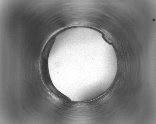 X0000068260846200605121818