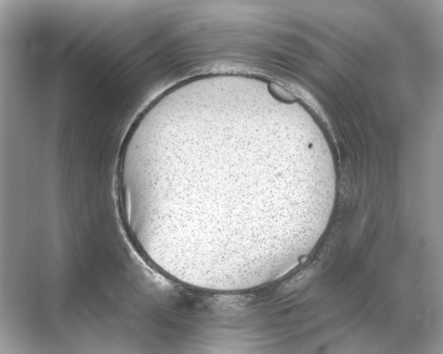 X0000068260847200605121818