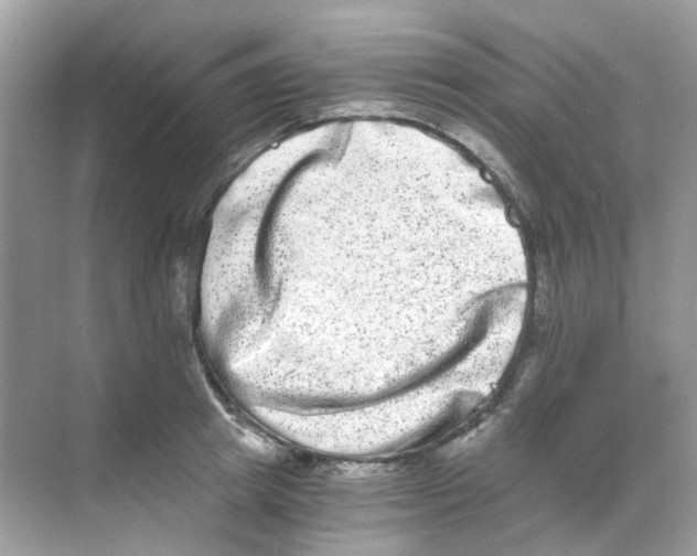 X0000068260849200605121818