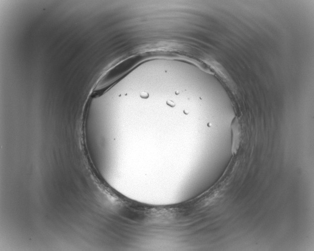 X0000068260850200605121818