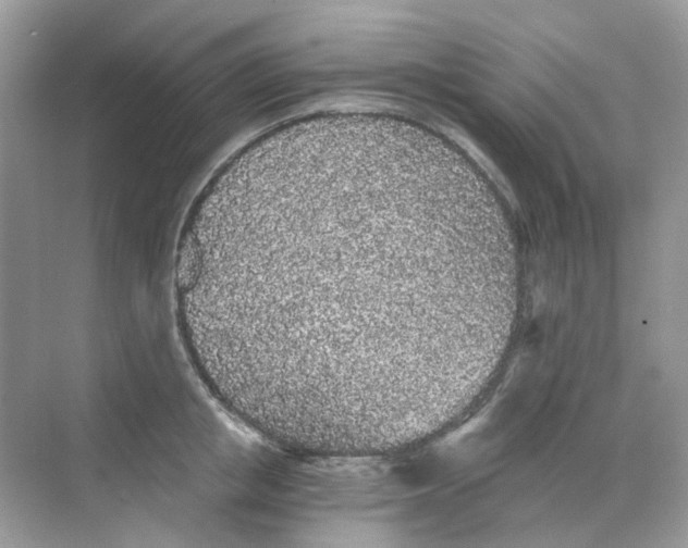 X0000068260853200605121818