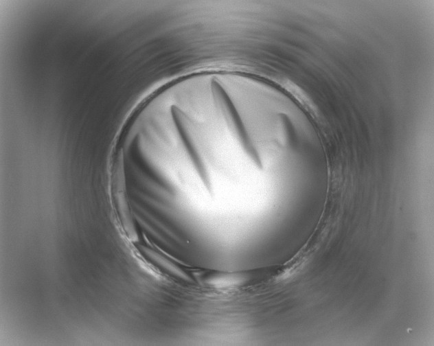 X0000068260854200605121818