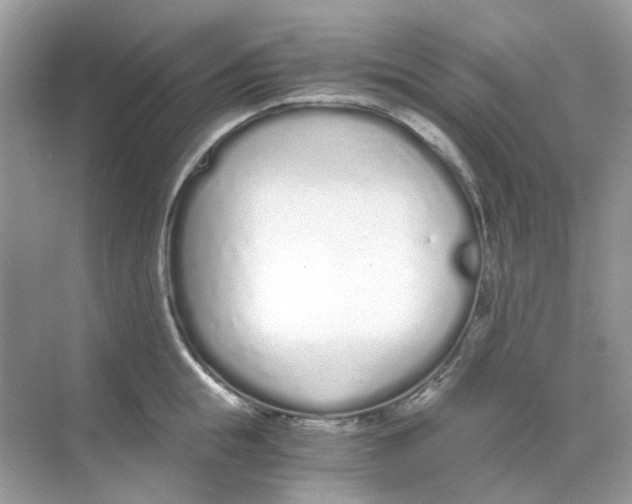 X0000068260855200605121818