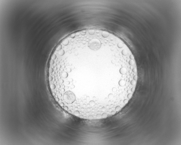 X0000068260856200605121818