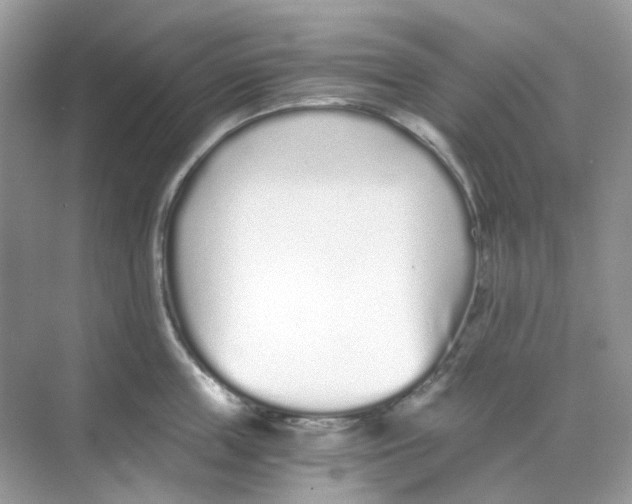 X0000068260859200605121818