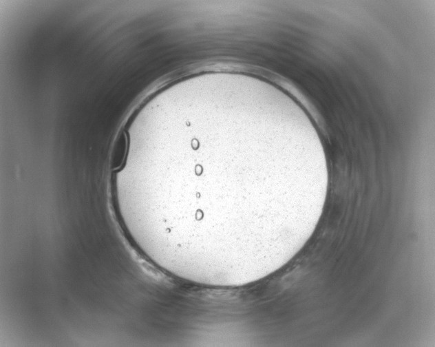 X0000068260861200605121818