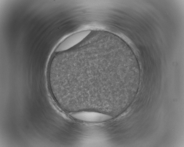 X0000068260864200605121818