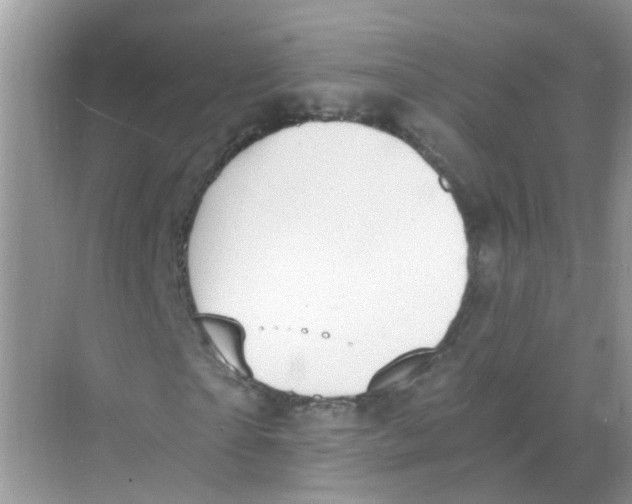 X0000068260865200605121818