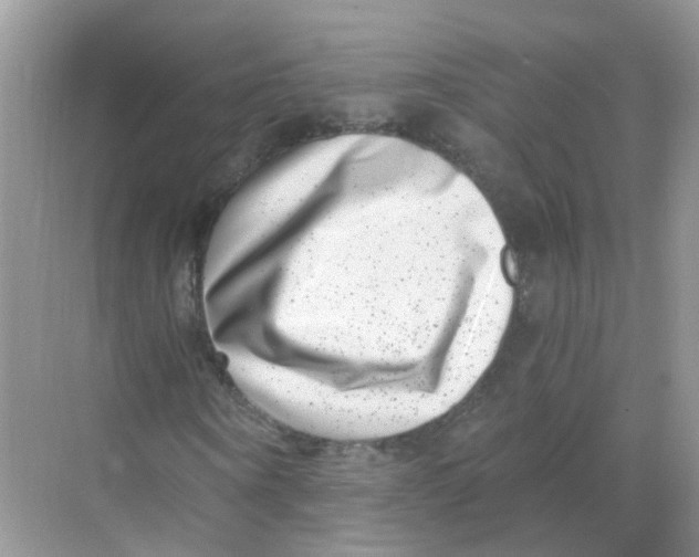 X0000068260866200605121817