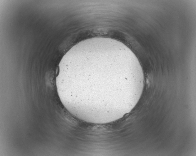 X0000068260867200605121817