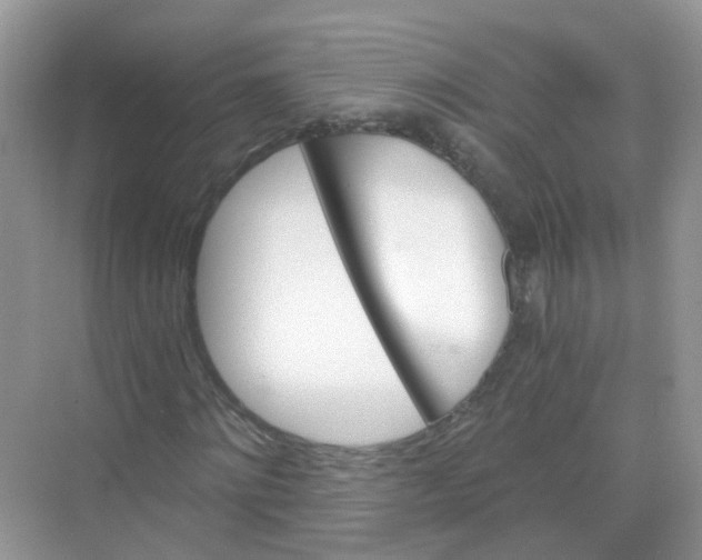 X0000068260868200605121817