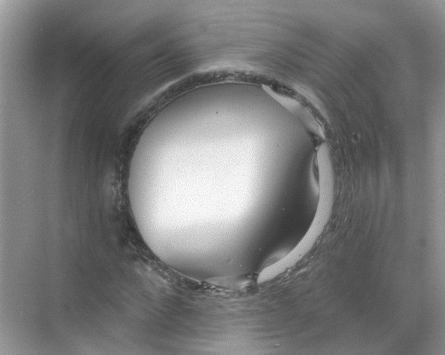 X0000068260872200605121817