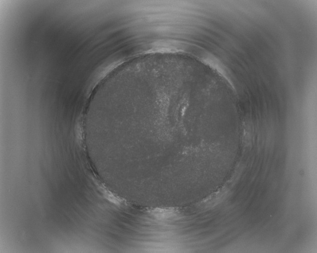 X0000068260874200605121817