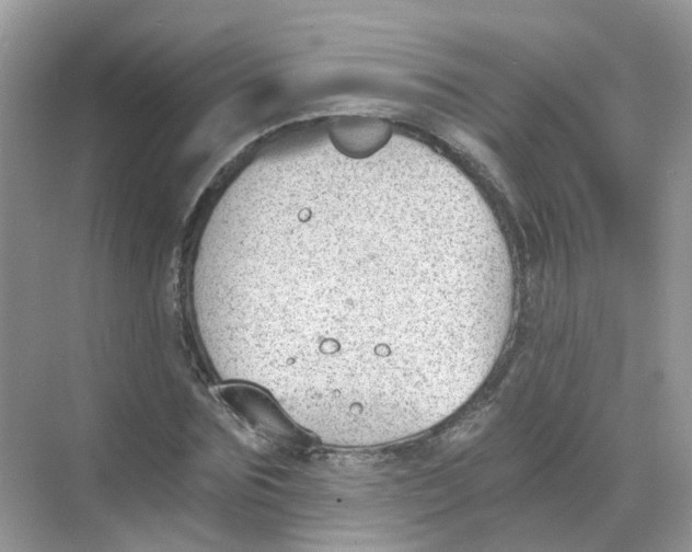 X0000068260875200605121817